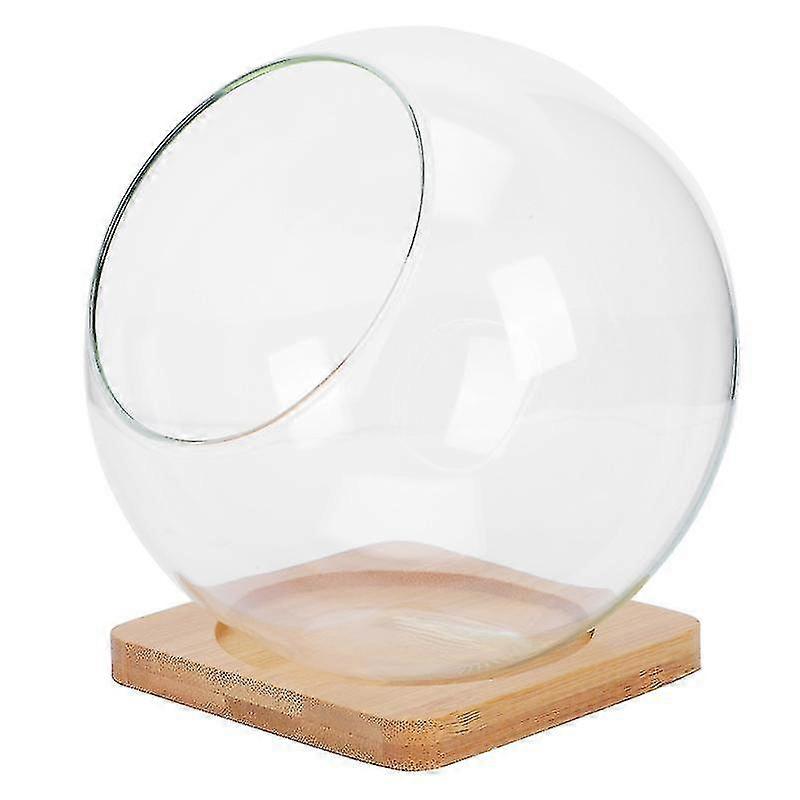 1 Set Glass Micro Landscape Bottles Multi-functional Household Storage Holders