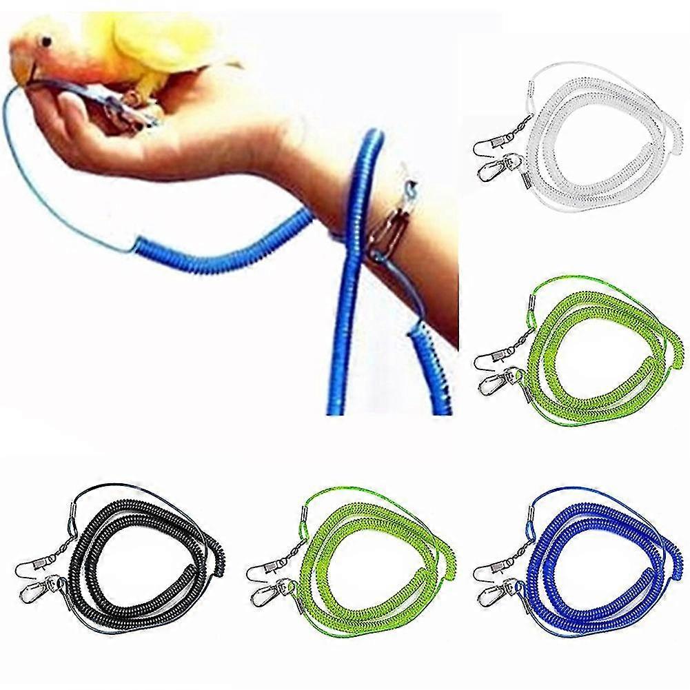 الببغاء الطيور المقود الطيران التدريب حبل الأشرطة الببغاء الببغاء الببغاء زرزور الببغاء