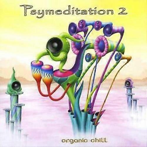 Various Artists Psymeditation 2 CD (2006)
