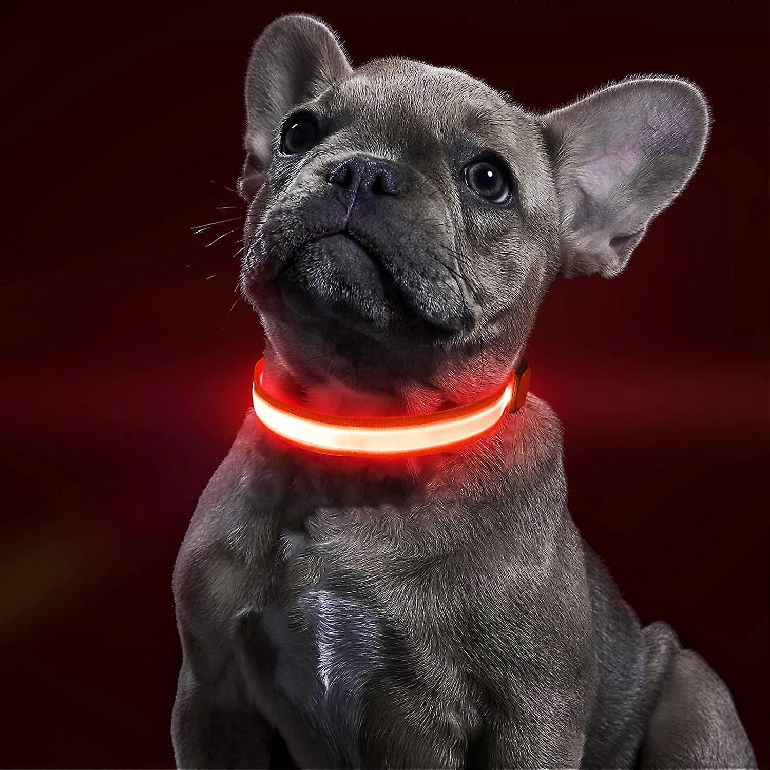 Light Up Dog Collar - Reflective LED Light Puppy Collar Rechargeable Water-Resistant Glow in The Dark Dog Collars Ruby RedSmall