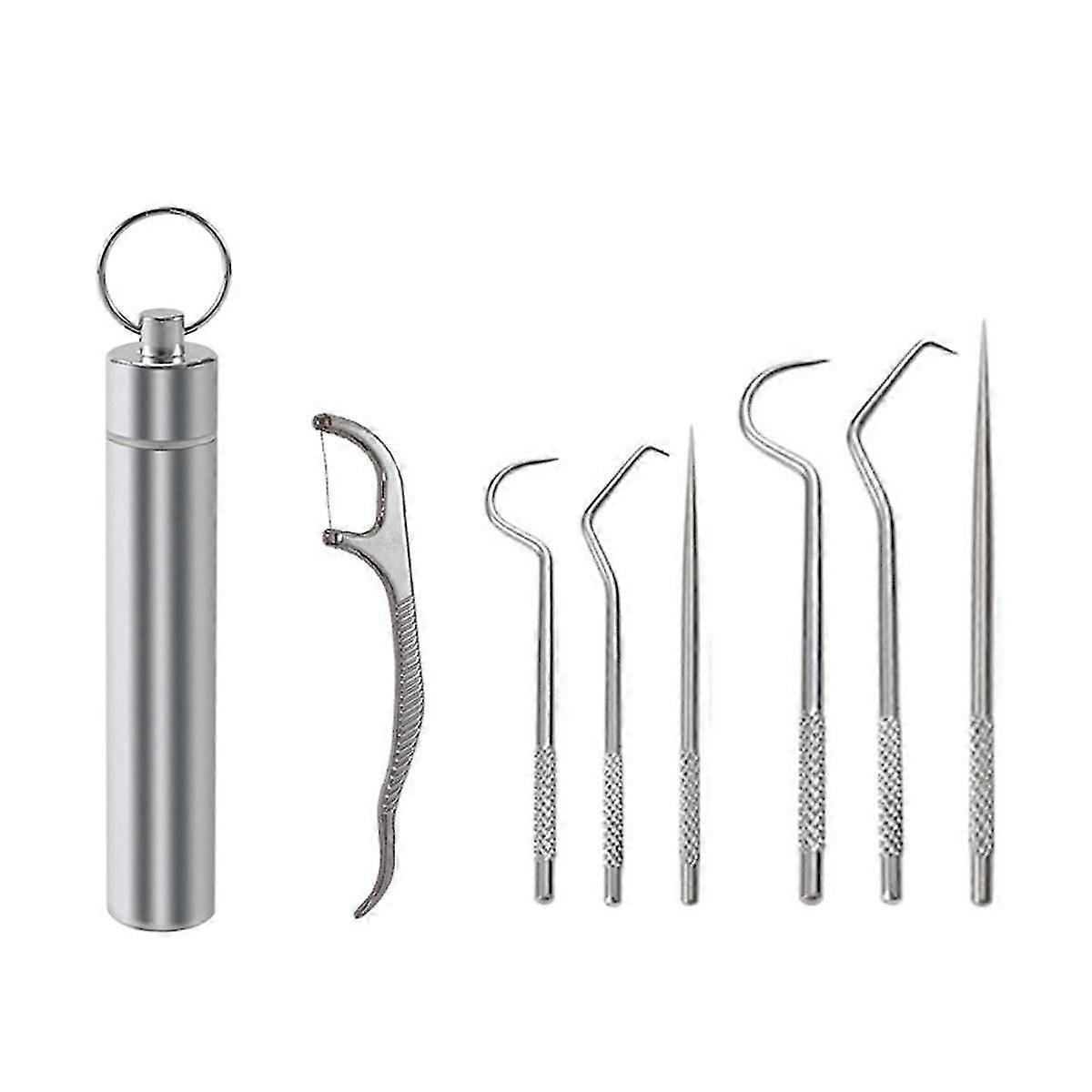 Flossing Metal Toothpicks Set Reusable Toothpicks Portable Toothpick Floss Teeth Cleaner Oral Care Cleaning Tools,A