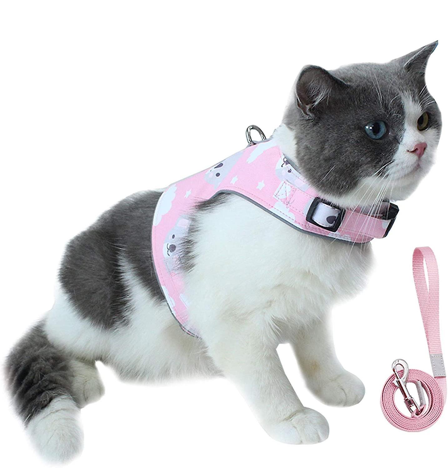 Anti-evadare Cat Roz Lesa si Ham Set