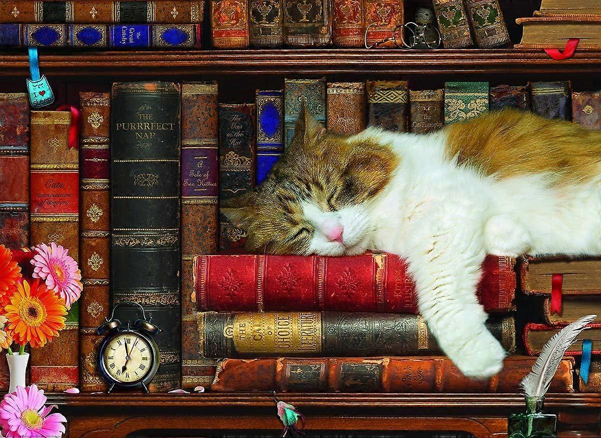 O Cat Nap 1000 Peça Puzzle