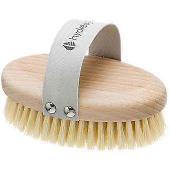 Dry Brushing Body Brush with Cactus Bristle - Cellulite Remover, Vegan Best Dry