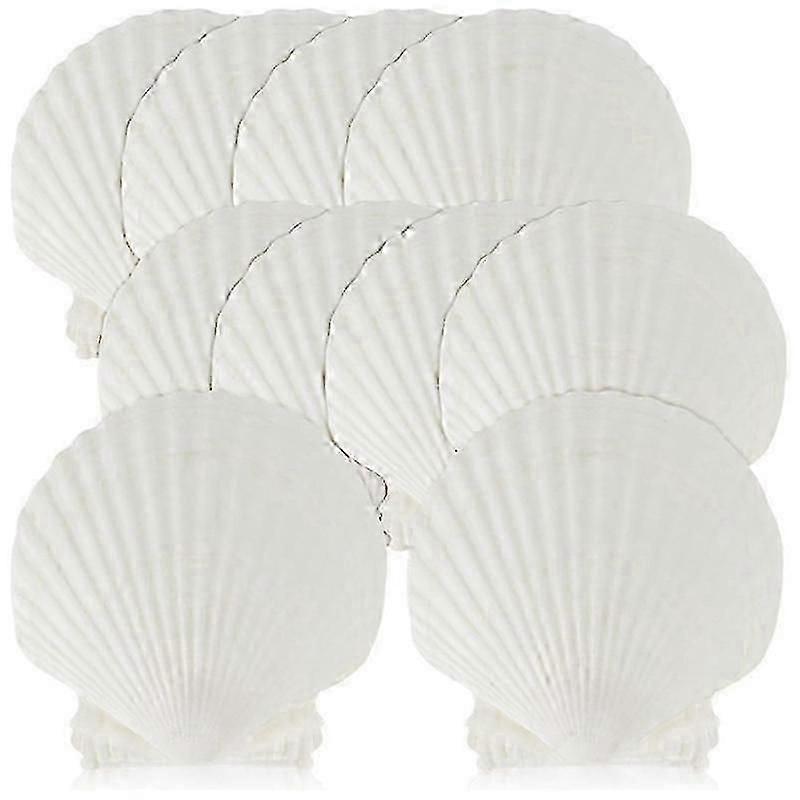 15 pcs natural concha do mar grande branco, 4-4,7 polegadas conchas de vieira para artesanato DIY, servindo comida, assando