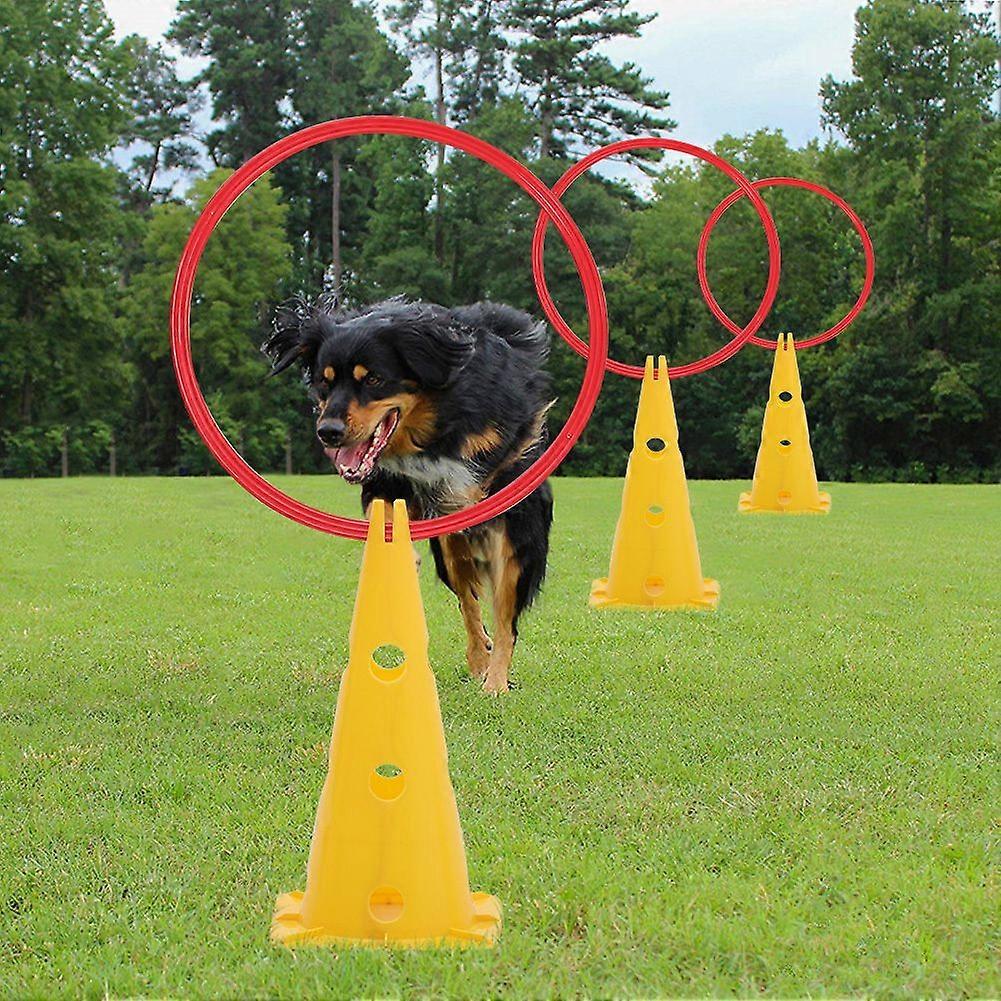 Set of 3 Pet Agility Exercise