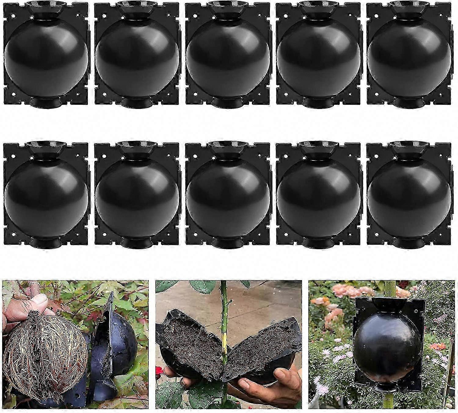 10 Pack Plant Rooting Device, Reusable Propagation Rooting Ball for Plant Growing and Propagation