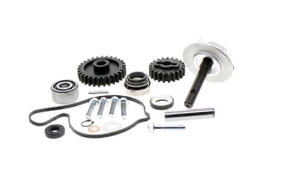 Pump assembly 0800-08000A is suitable for cfmoto cforce zforce 800