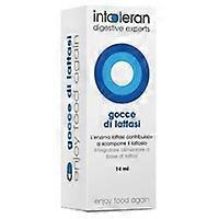 lactase 14 ml