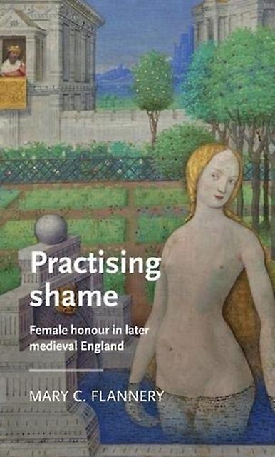 Practising Shame by Mary C. Flannery Paperback Book