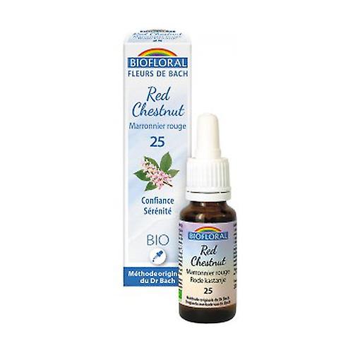 Organic Red Chestnut 20 ml of floral elixir
