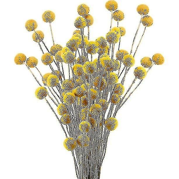 40 tallos de flores secas naturales ramo de bolas de botón
