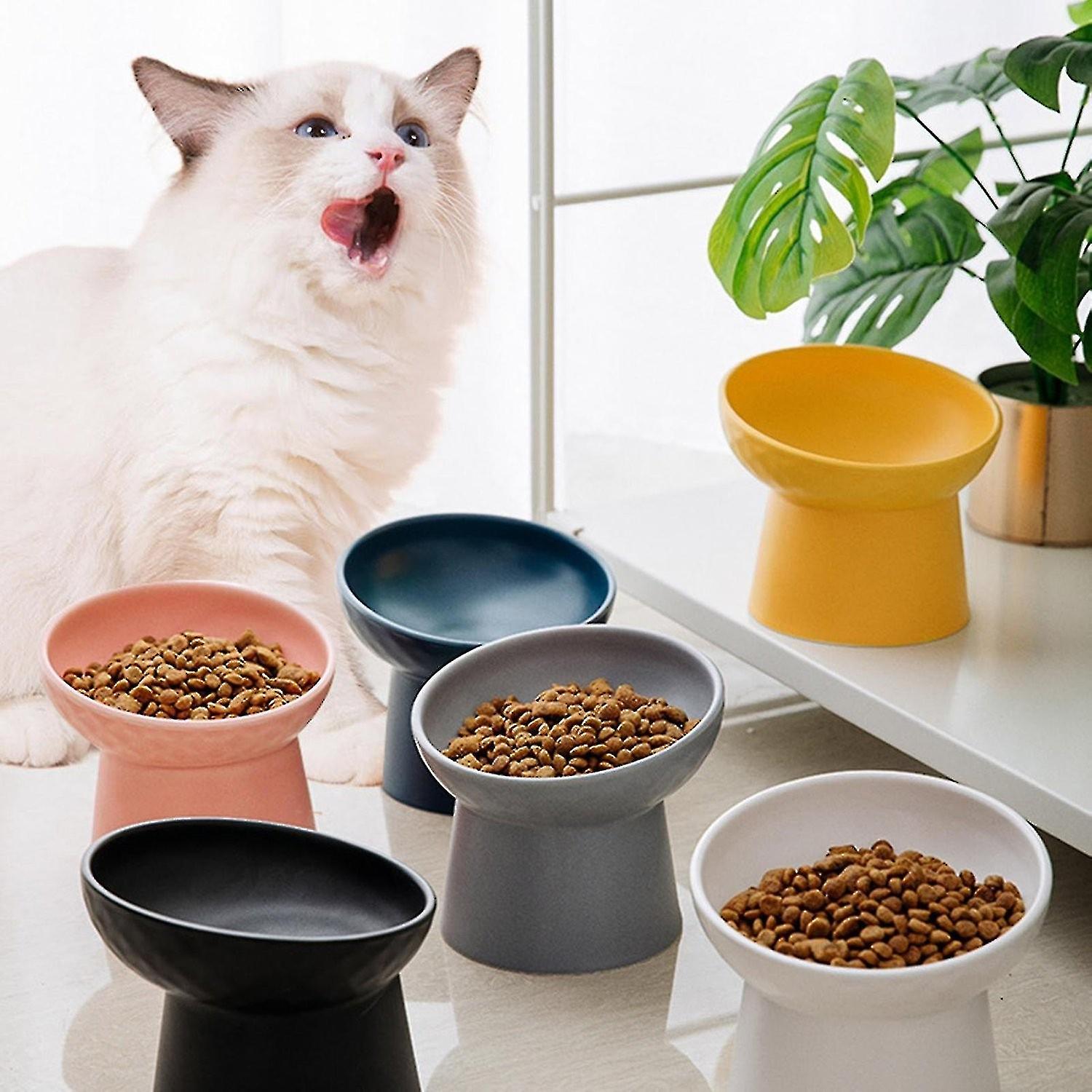 Geneigter erhöhter Futter- oder Wassernapf 15 geneigte ergonomische Katzennäpfe für Hunde und Katzen