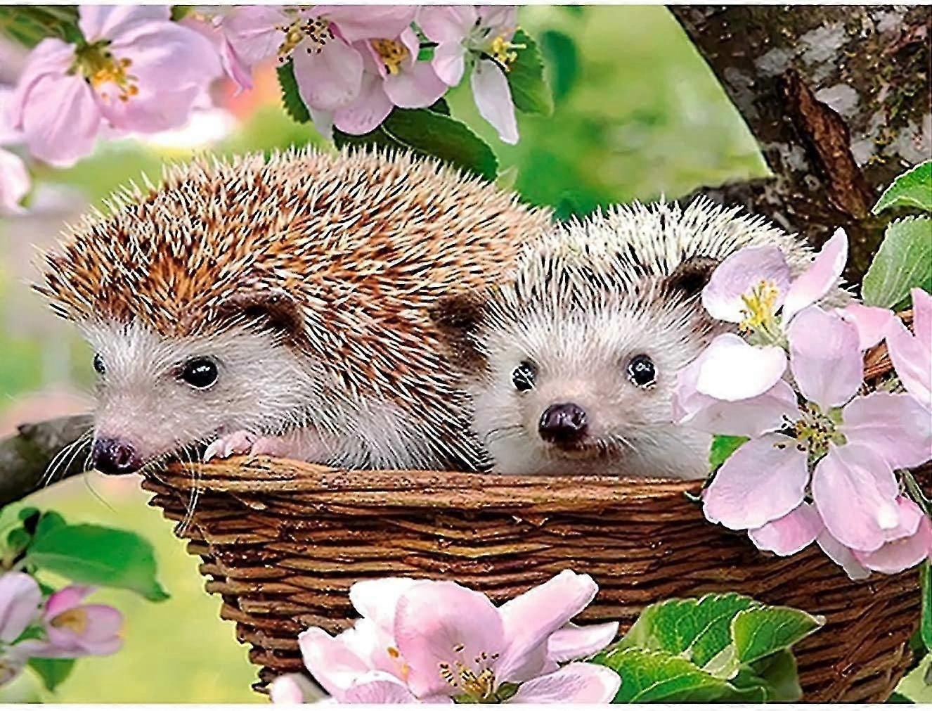 5d Diy Diamond Painting Flower Hedgehog By Number Kits Bimkole Paint With Diamonds Arts Wall Stickers For Living Room Bedroom