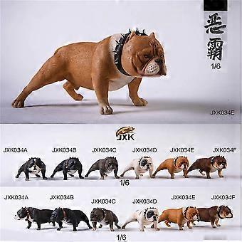 JXK 1:6 Scale American Bully pitbull Dog Pet Healing Figure