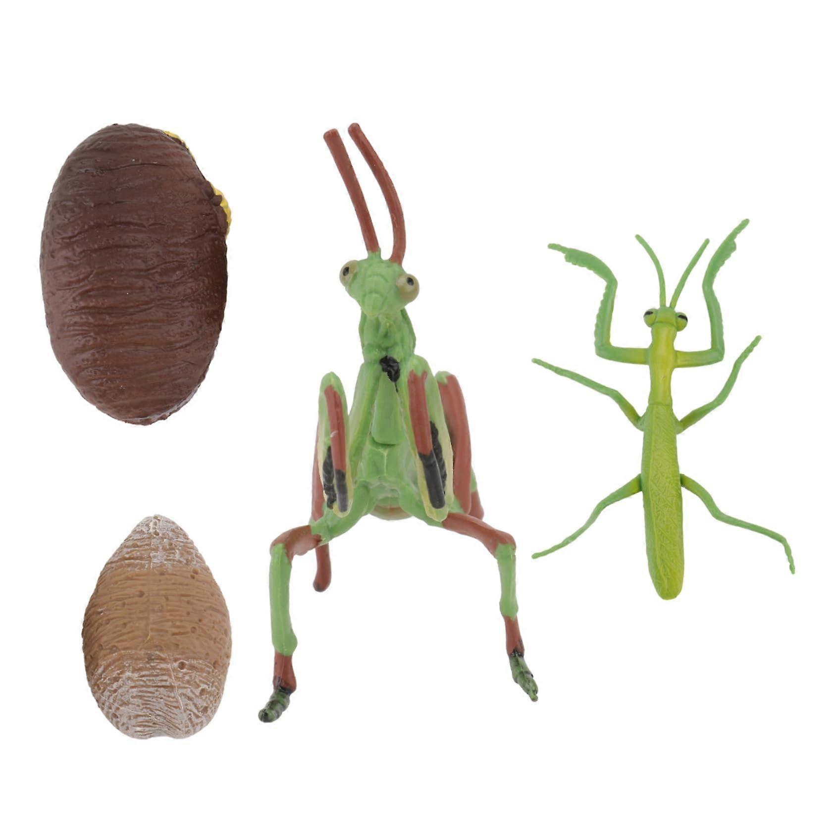 1 Set Life Cycle Model Figurine Mantis Realistic Insect Figures for Birthday Parties and Collections Lightweight and Portable Durable Crafted