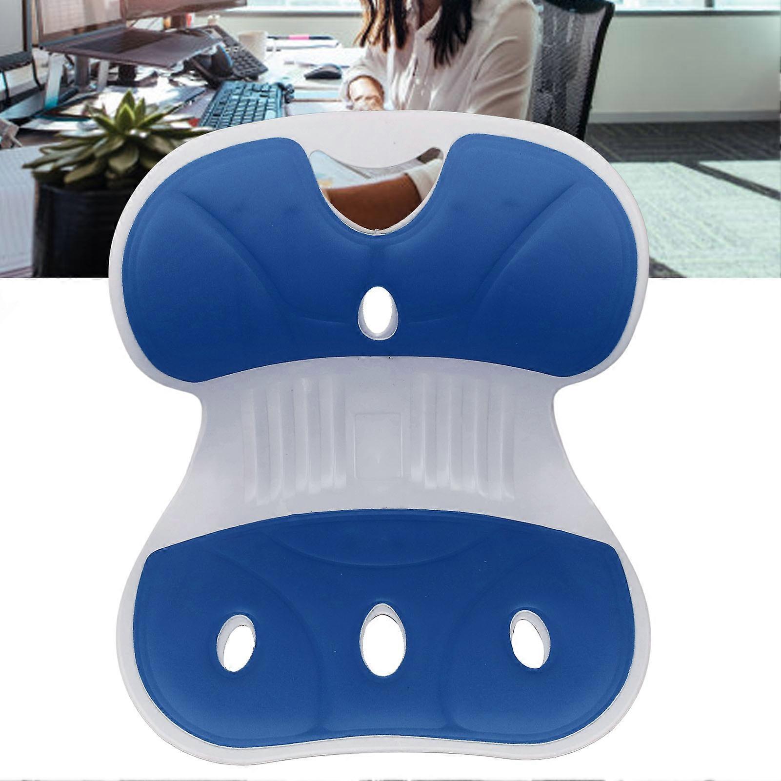 Ergonomic Back Lumbar Support for Good Posture Correction Soreness Relief Posture Correcting Chair for Office Home Blue 