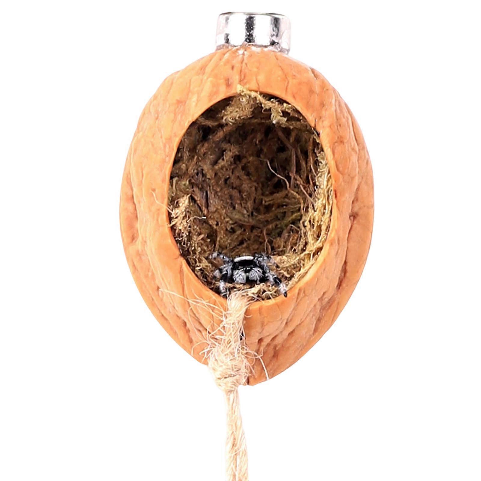 Hide for Pet Jumping Spiders Decorative Magnetic Decoration Hideouts Walnut Nest Multicolor