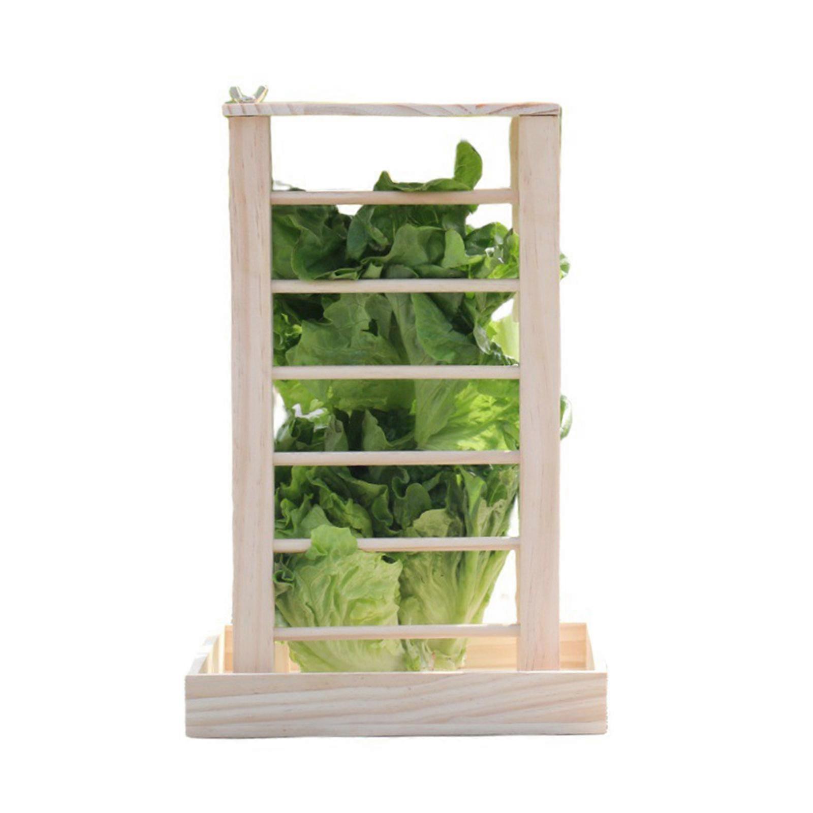 Wood Rabbit Hay Feeder for Pet Owners Seeking Practicality and Efficiency Feeding Supplies Guinea Pigs Rabbit Feeder Multicolor