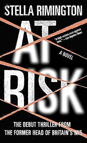 At Risk : a Novel
