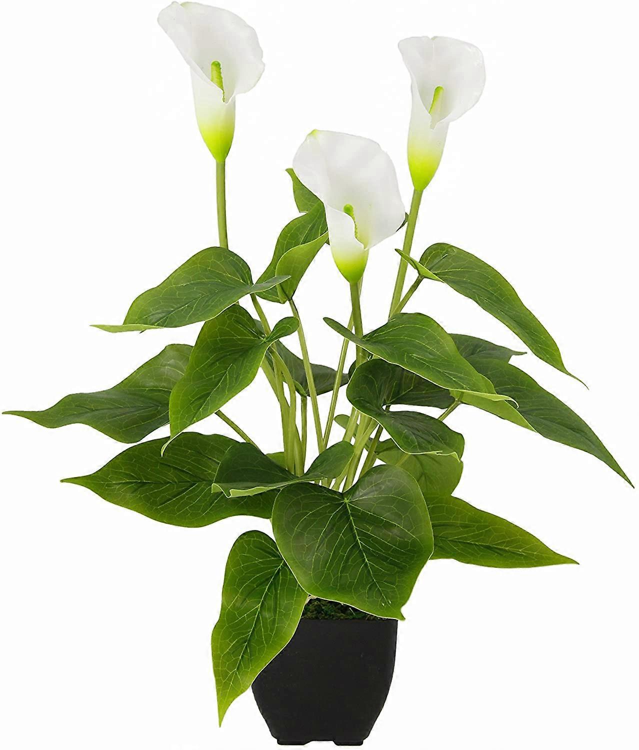 Fong Flower Calla-Pflanze iT, Polyester, Kunststoff, weiß, 42 x 20 x 20 cm
