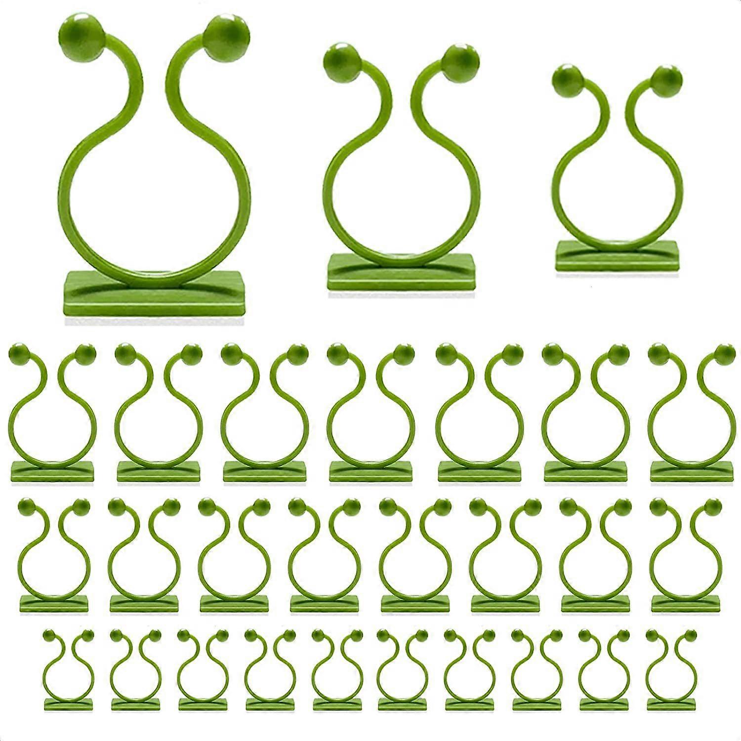 100PCS Plant Support 3 Size Wall Vine Plant Climbing Fixer Self-Adhesive Hook Vines Holder Invisible Traction Wall Sticky Fixture Clips Vegetable Fast