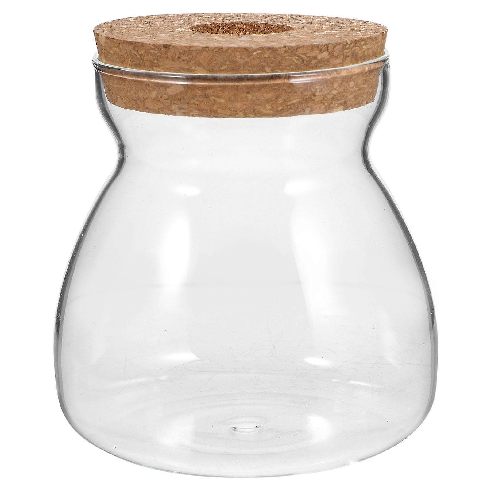 Terrarium Jar Glass Terrarium Hydroponic Plant Container Ecosystem Container Size M
