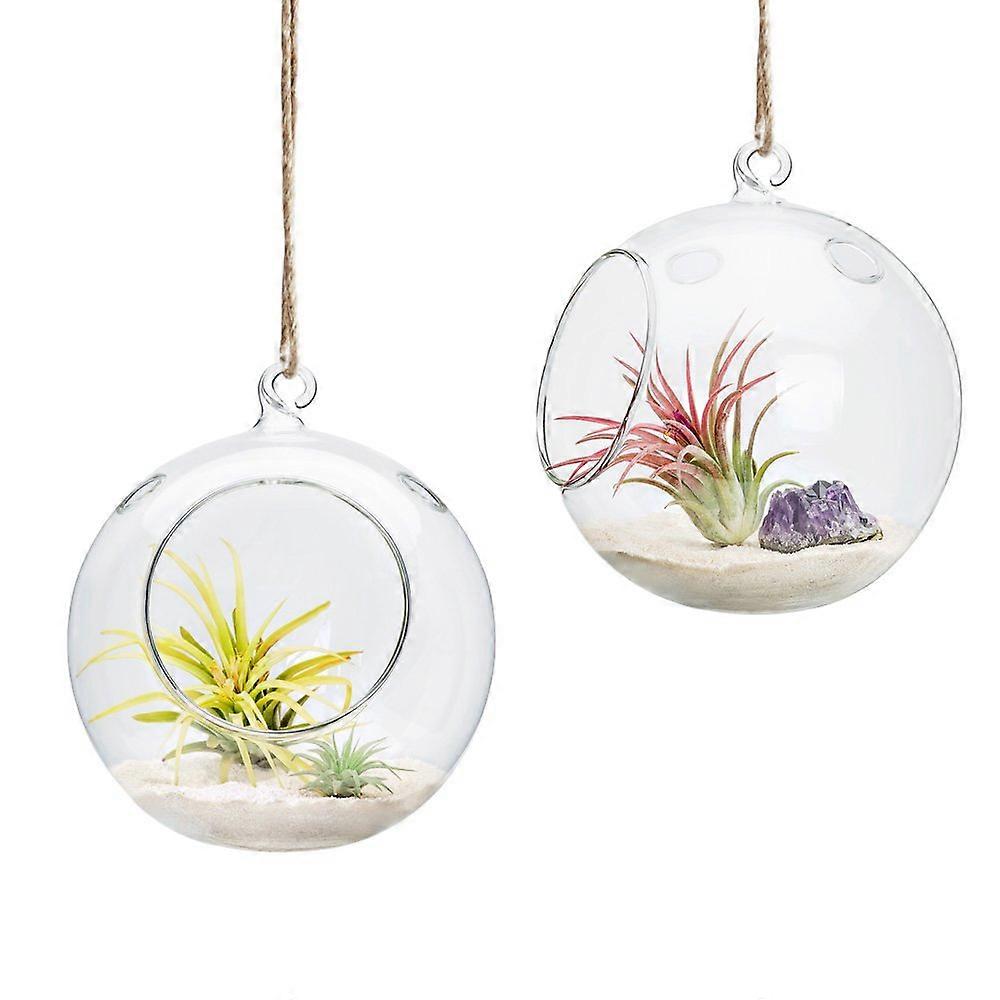 Hanging glass flower pot 6-inch 2-pack