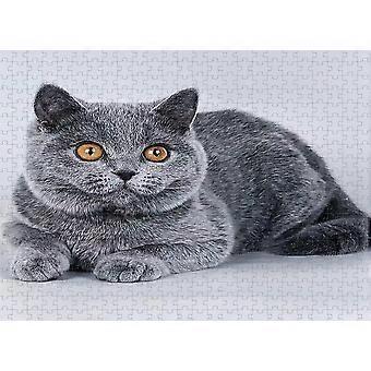 1000 Piece Black Cat Challenging Jigsaw And Family Game Puzzle Combination