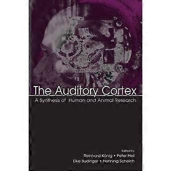 Den auditive cortex