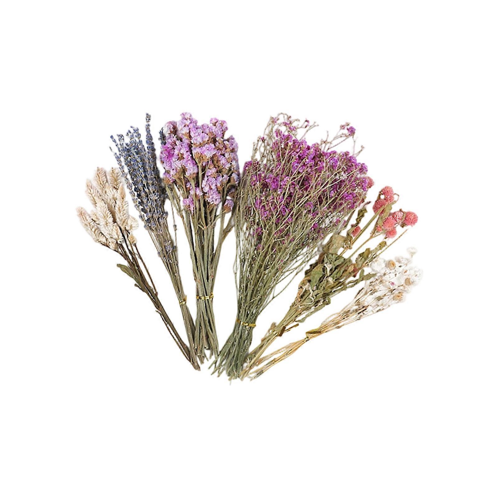 Organic Hamster Bedding Blend with Dried Flower for Safe Comfortable Nesting Environment Multicolor