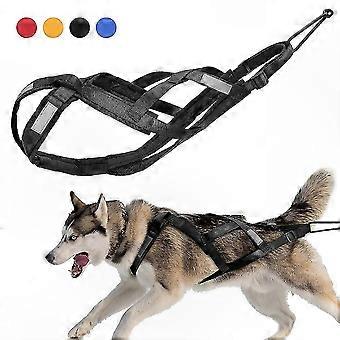Harnais réfléchissant pour chien de traîneau, idéal pour le tirage de poids et l'entraînement.