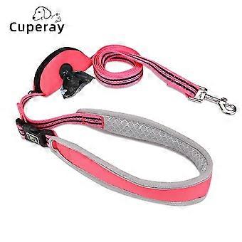 Nylon Reflective Dog Leash With Detachable Padded Handle
