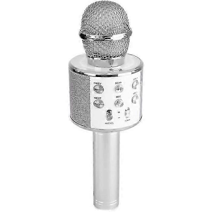 Bluetooth Karaoke Mic With Built-in Speaker