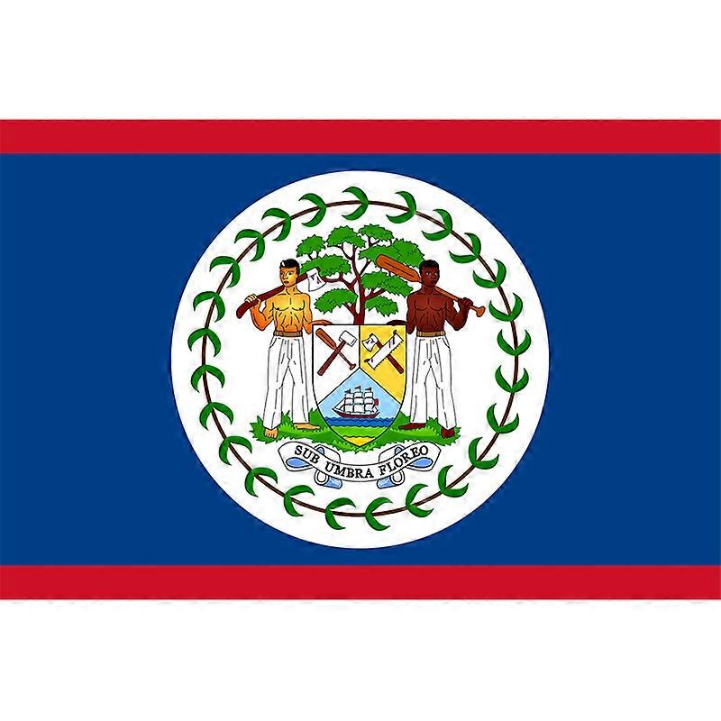 Yehoy Hanging 90*150cm Belize Flag For Decoration