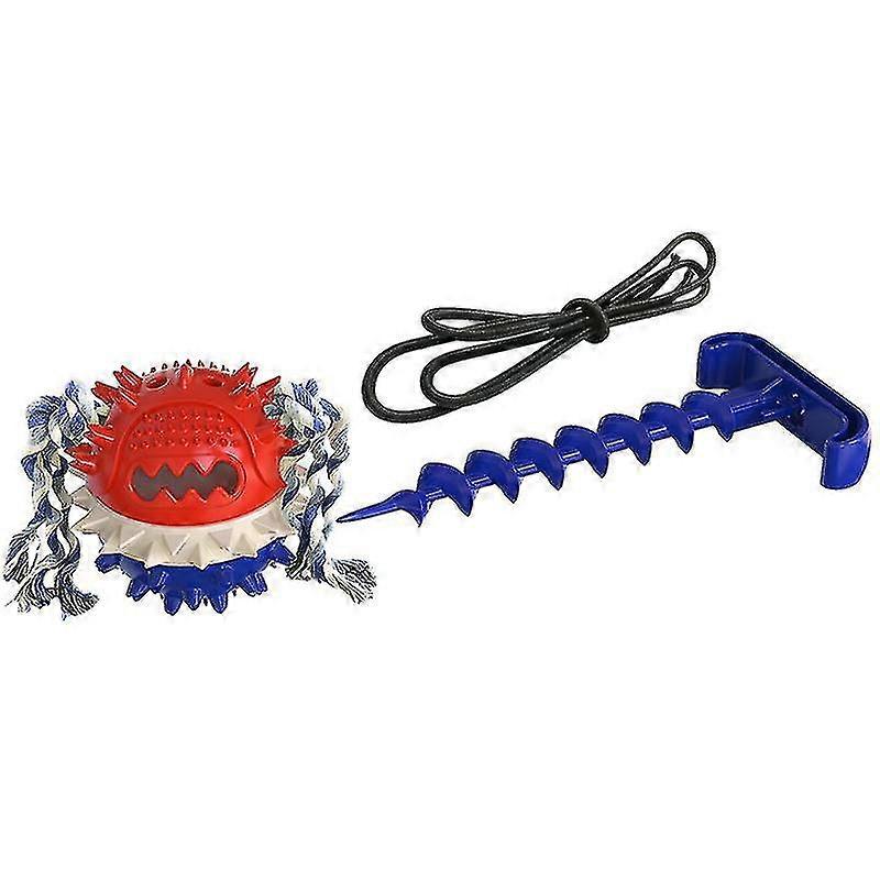 Dog Chew Toy