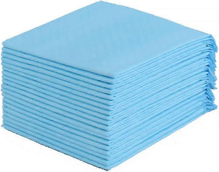 10 Pcs Dog Diapers Thickened Bamboo Charcoal Deodorizing Disposable Pet Changing Pad,33*45cm