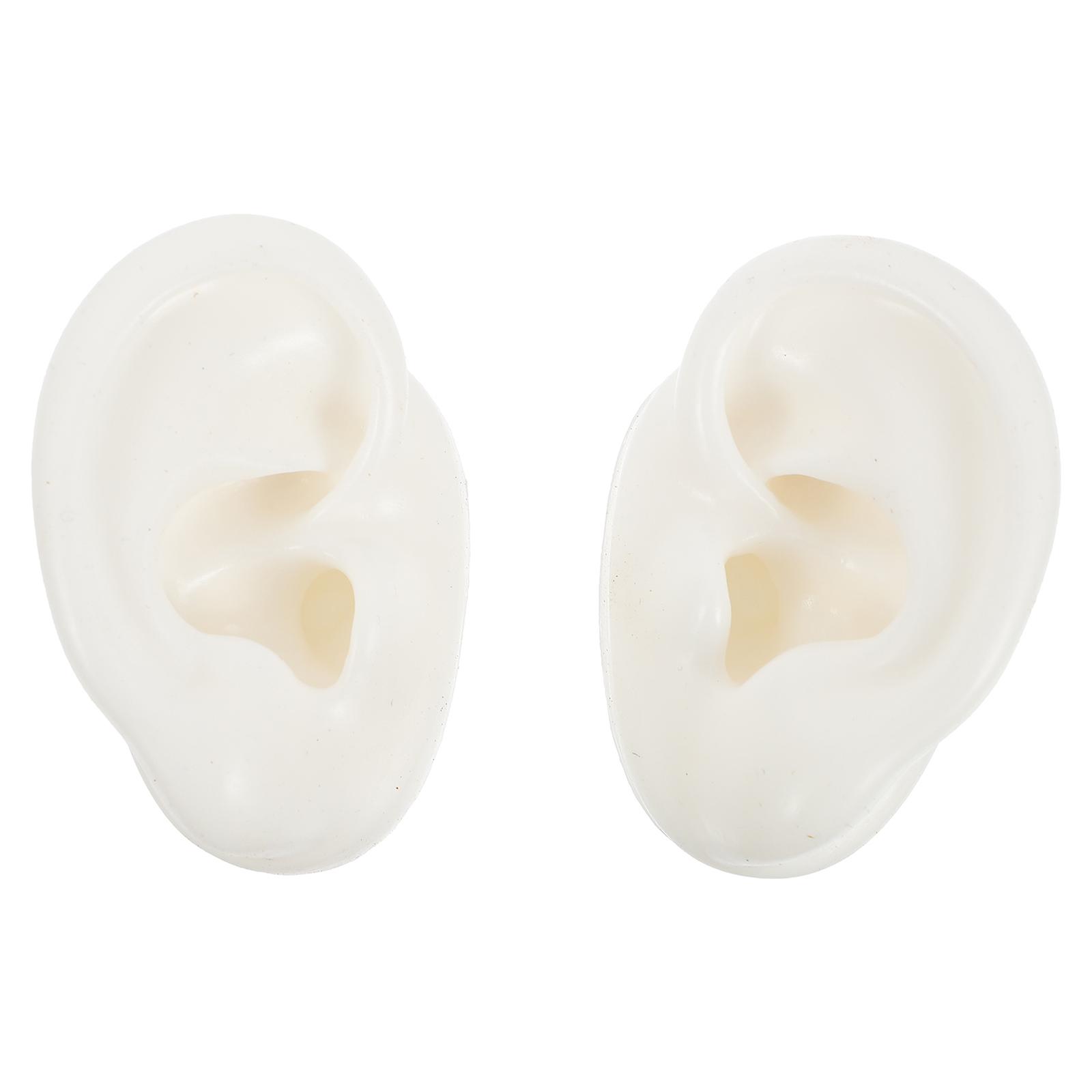 1 Pair Silicone Ear Model Reusable Simulation Human Ear Model for Shop Window Displays