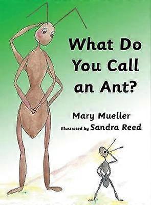 What Do You Call an Ant?