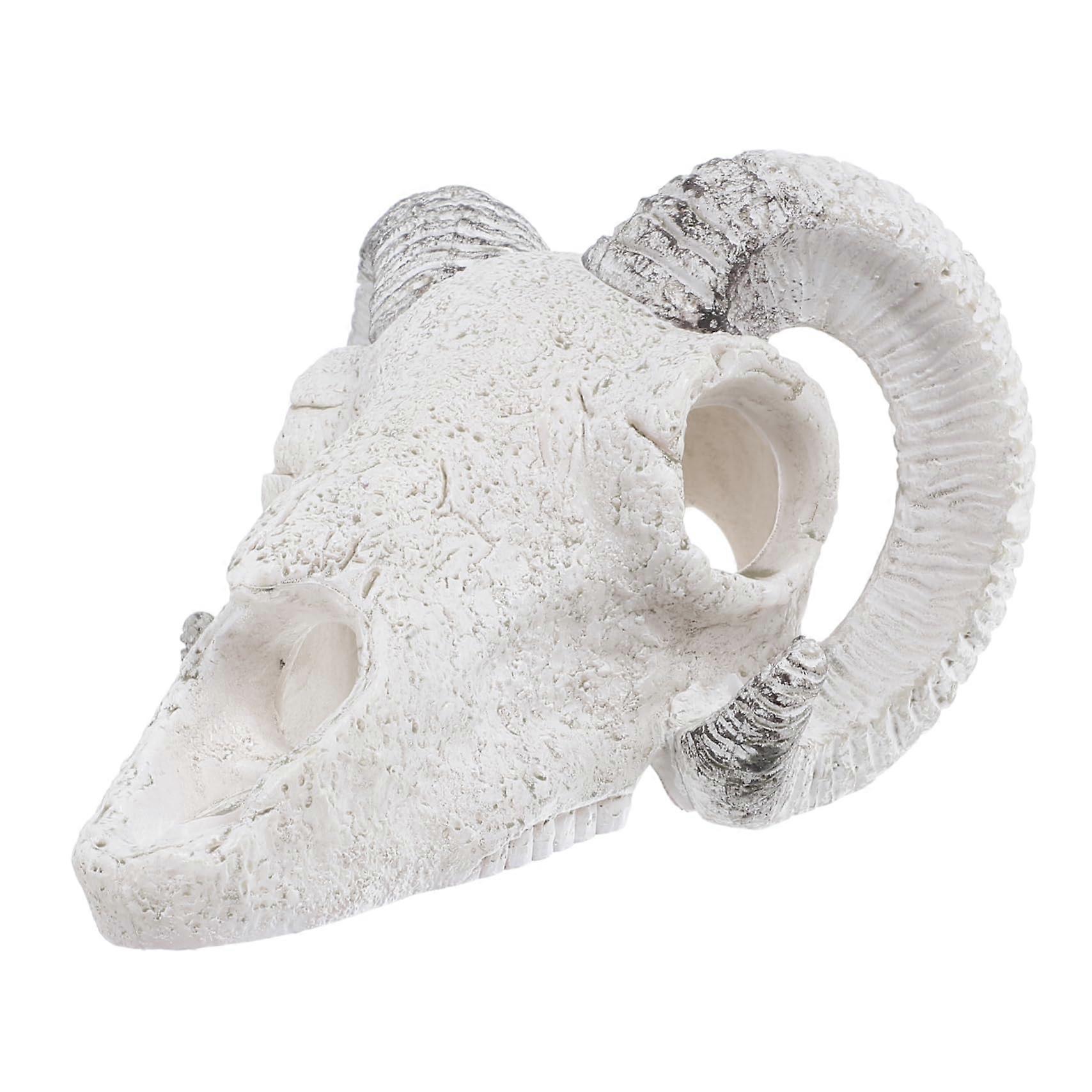 Skull Cave made of durable resin as a hiding spot for fish and reptiles, impressive terrarium decoration for aquatic environments.