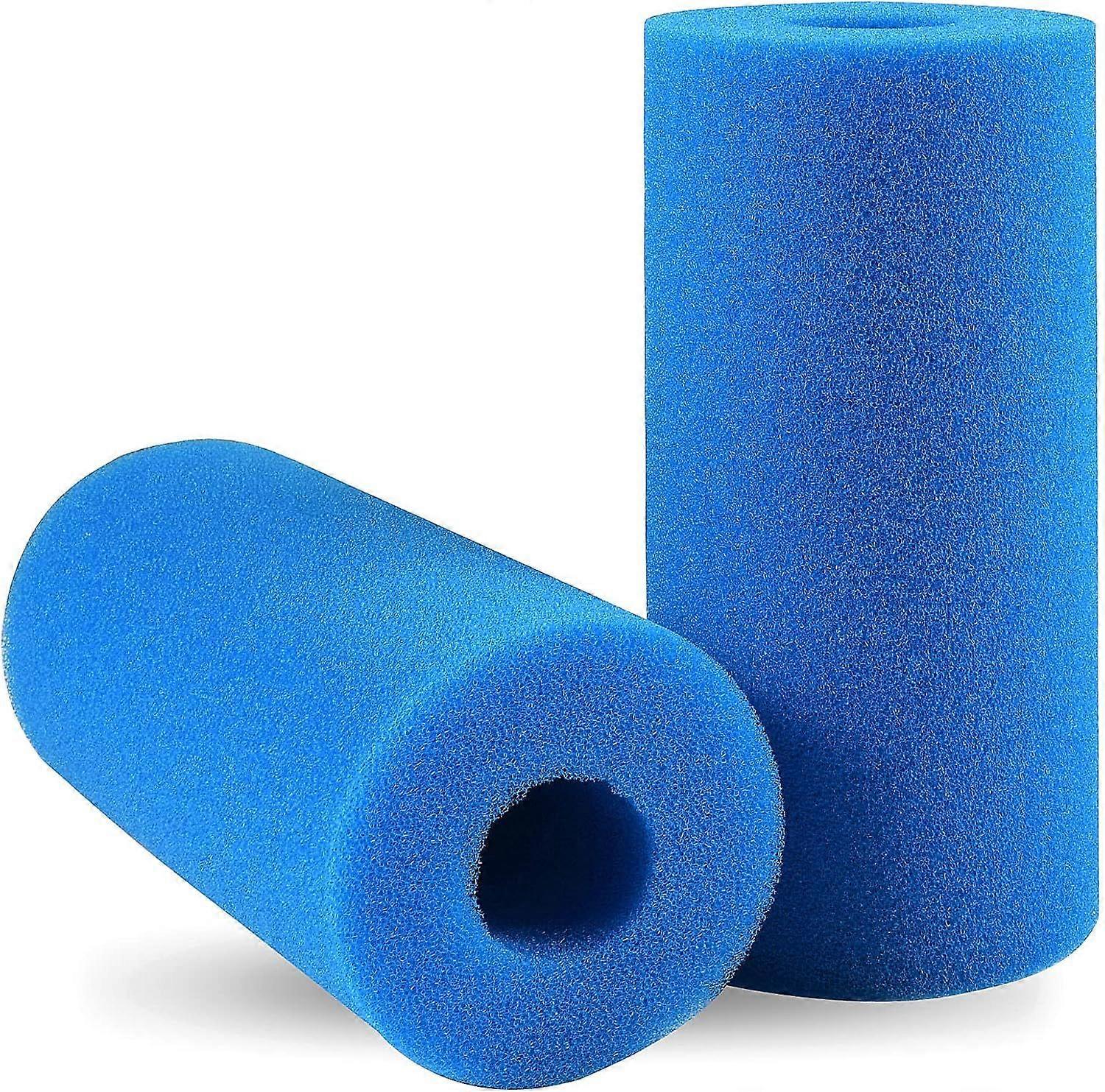 Foam Swimming Pool Filter, Ternel 2 Sponge Filter Cartridge, Reusable and