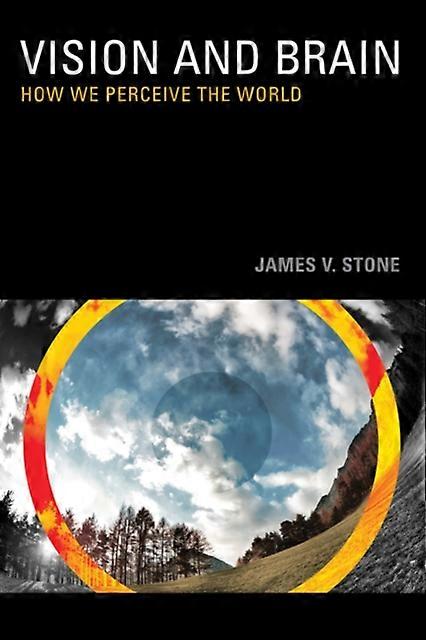 Vision And Brain How We Perceive The World - James V. Stone