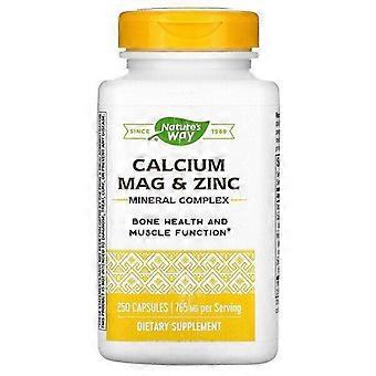 Nature's Way, mineralkomplex med kalcium, magnesium och zink, 250 kapslar
