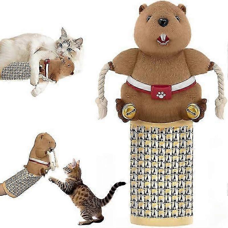 Cat Wrestling Glove, Cats Puppet Wrestler with Tough Padding for Safe Interactive Play, Cat Wrestling Toy Puppet with Cats Teaser and Bell for Boredom