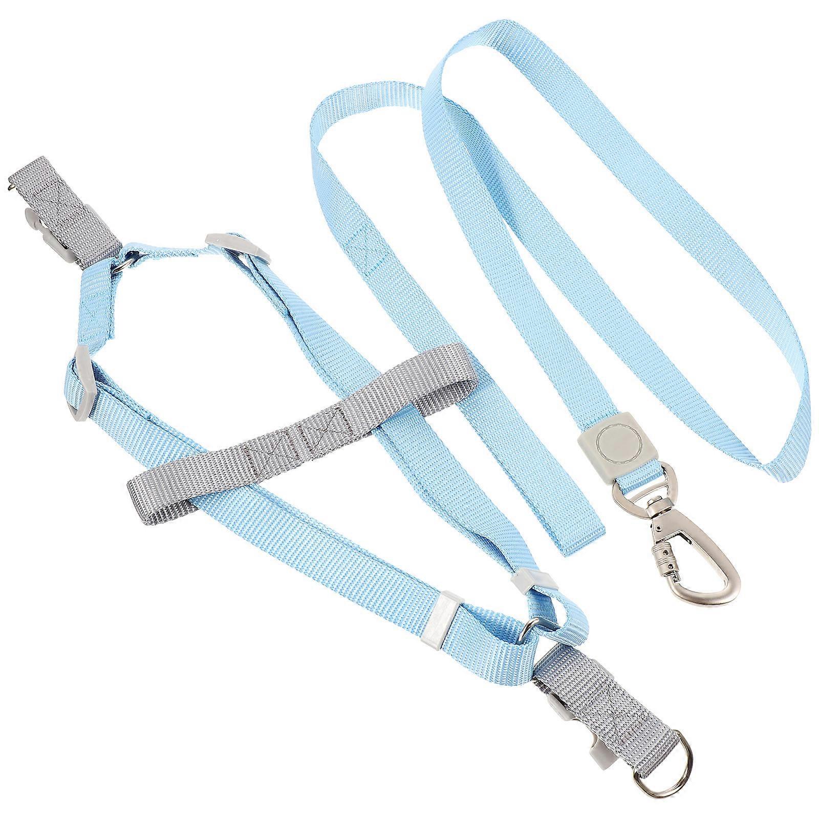 Compact Adjustable Dog Harness Plus Leash Set For Puppy Owners Engaging In Outdoor Activities Available In Blue Color 5 Sets