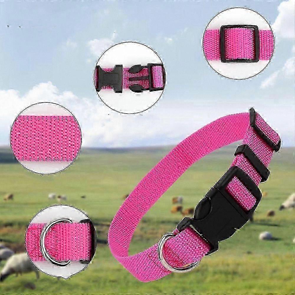 5-Pack Adjustable Collars with Bells for Small Livestock, Sheep, and Cattle