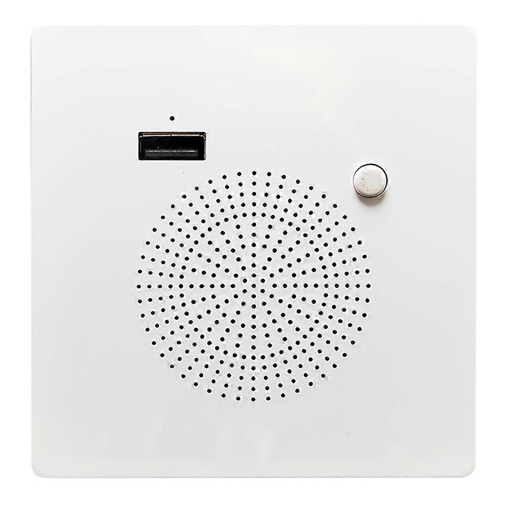 Bluetooth Speaker Panel Home USB Charging Panel Audio Wall Mounted USB Flash Drive Playback