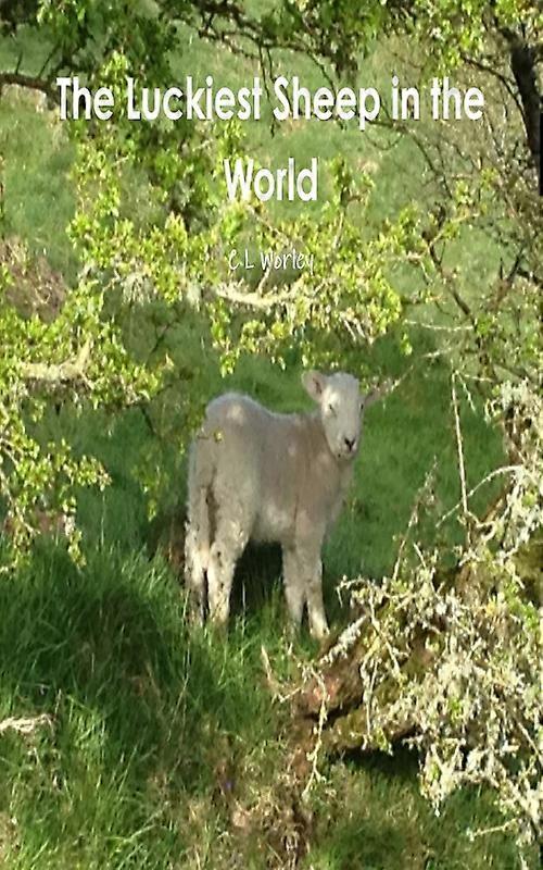 The Luckiest Sheep In The World