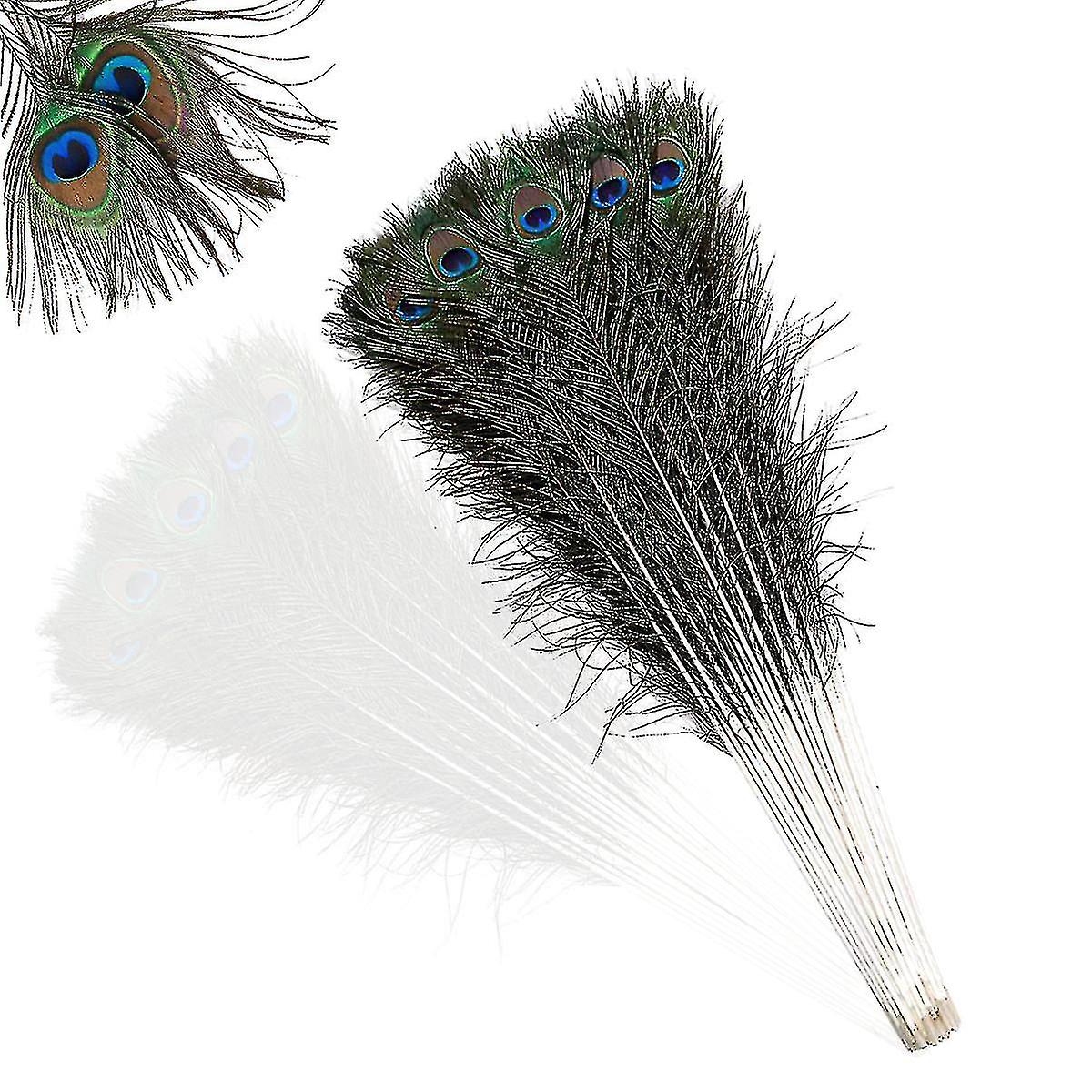 Natural Large Peacock Feathers For Decoration_aa