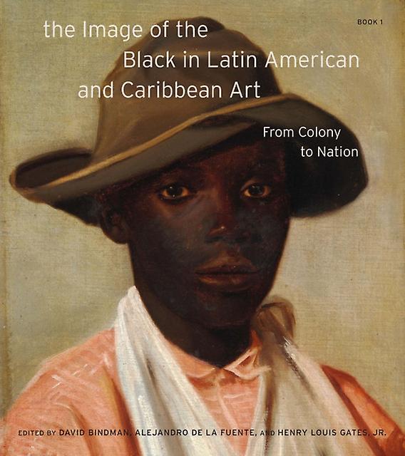 The Image Of The Black In Latin American And Caribbean Art Paperback Book